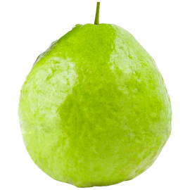 GUAVA LARGE