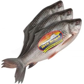 IBCO SHORPUTI WHOLE IQF RED TAIL 3PC 450G