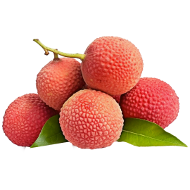 LYCHEE KG