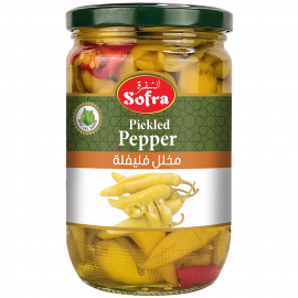 SOFRA VEGETABLE OIL 1LTR