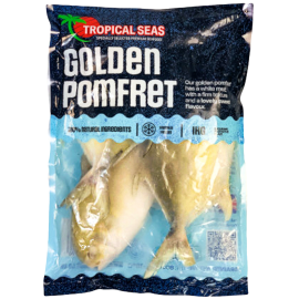 TAZ PLAIN PARATHA FAMILY 20PC