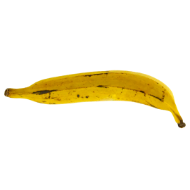 YELLOW PLANTAIN
